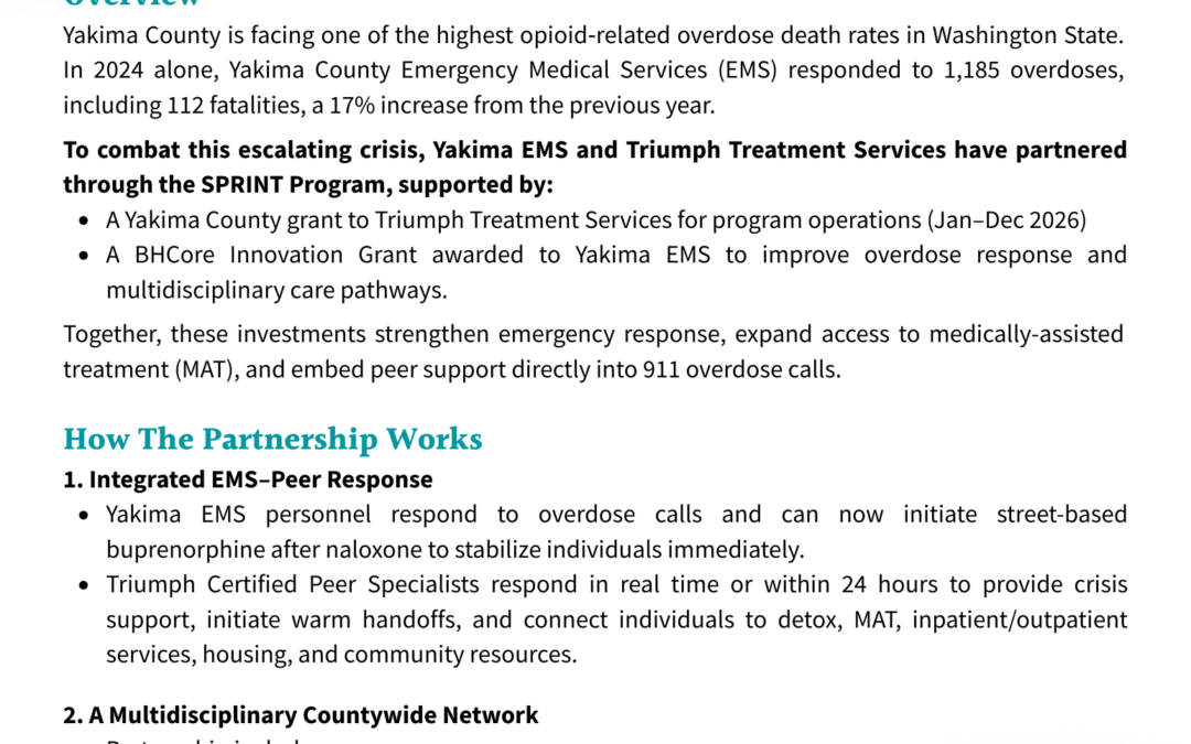 What Is The SPRINT Program?